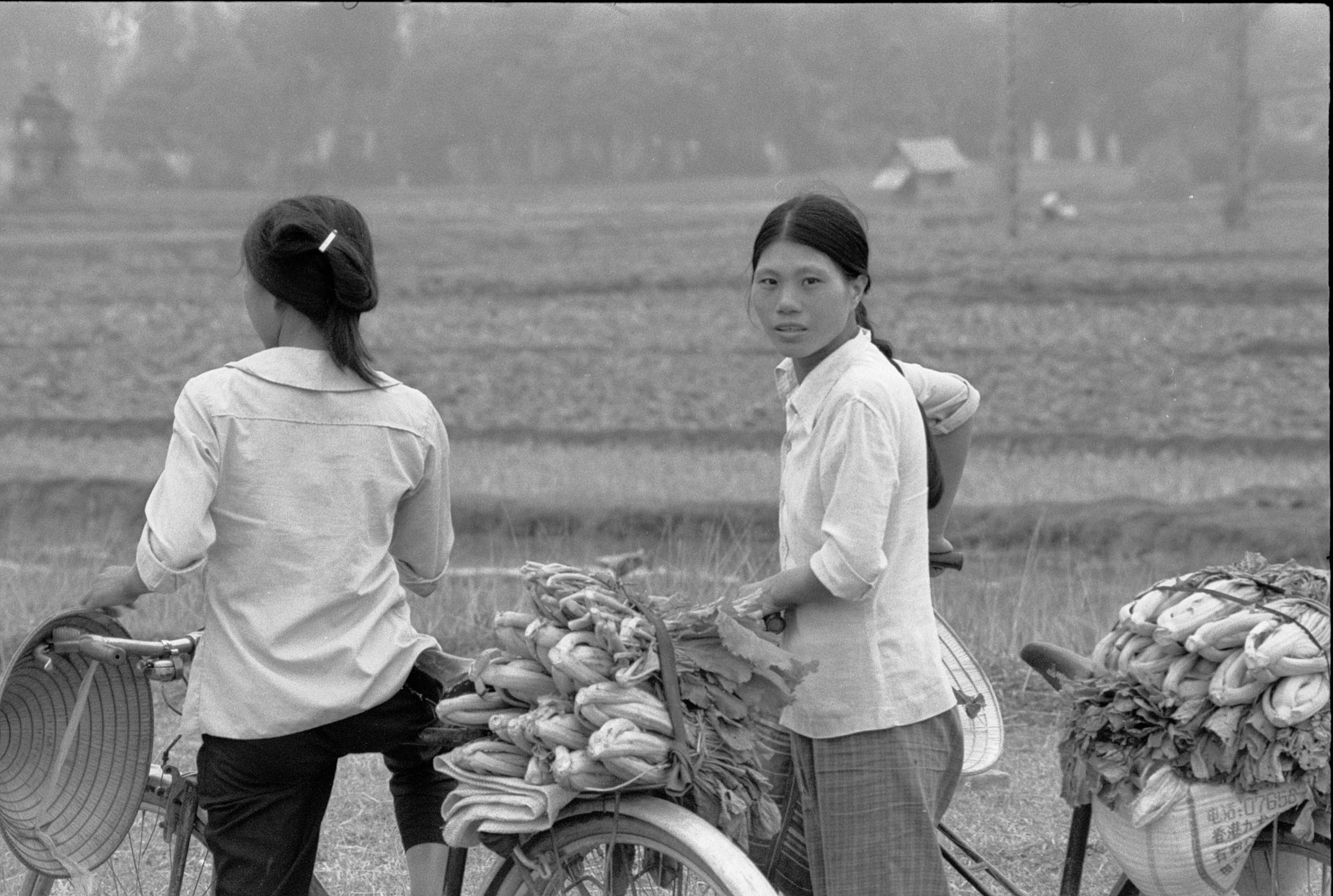 Viet Nam©Y.Cuillandre-101