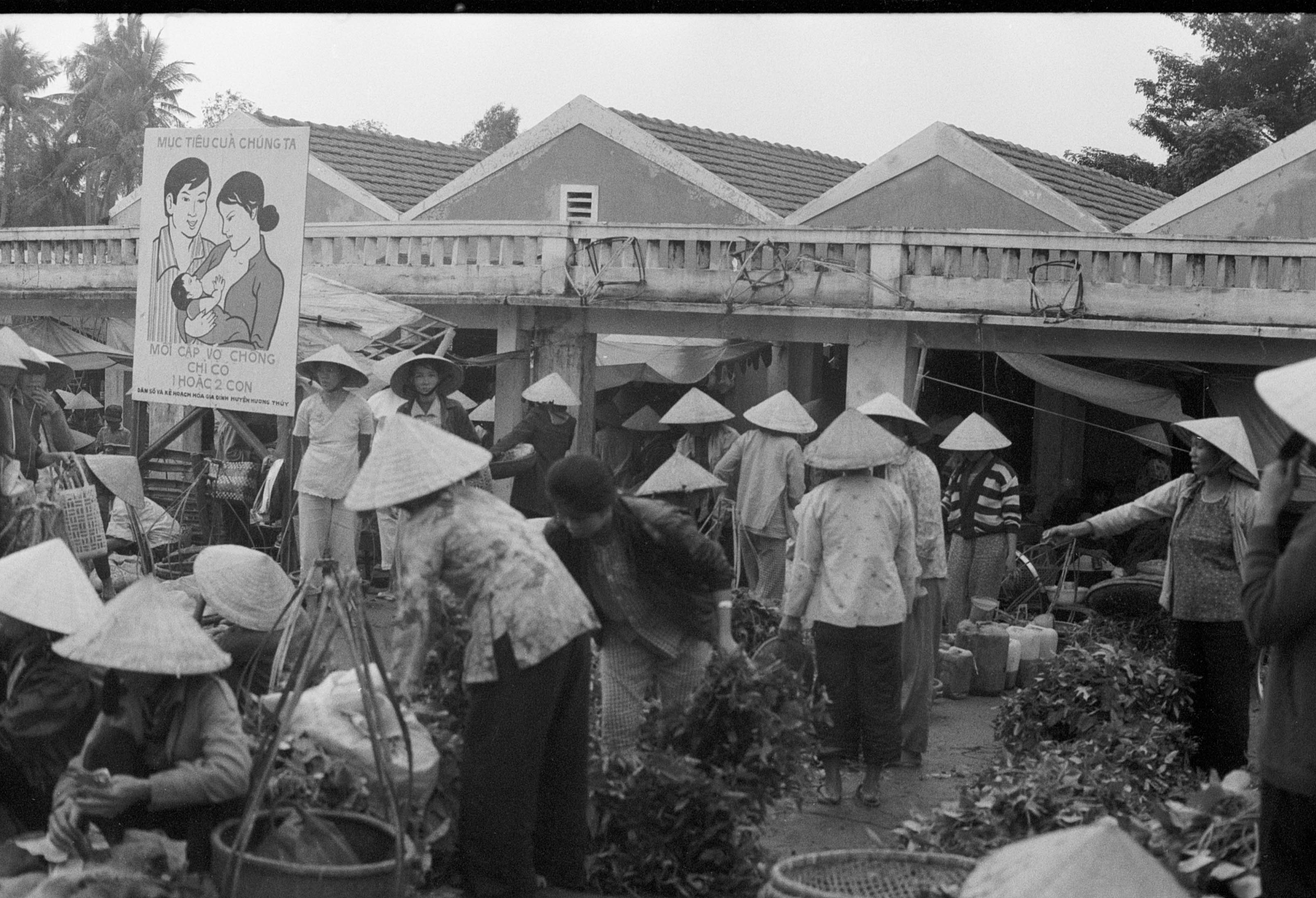 Viet Nam©Y.Cuillandre-112