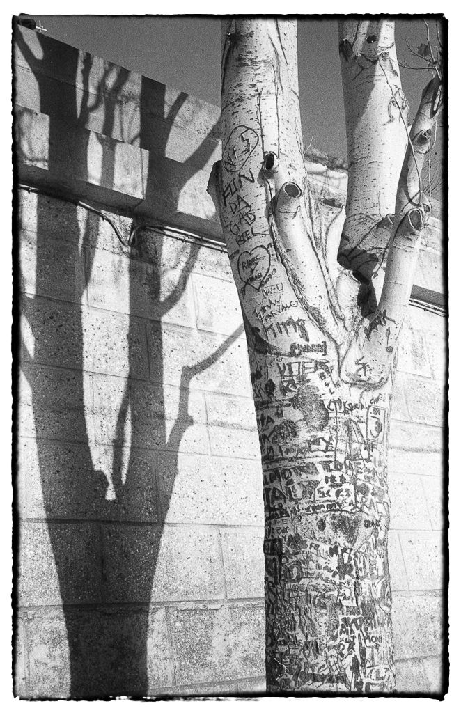 paris ombres-9