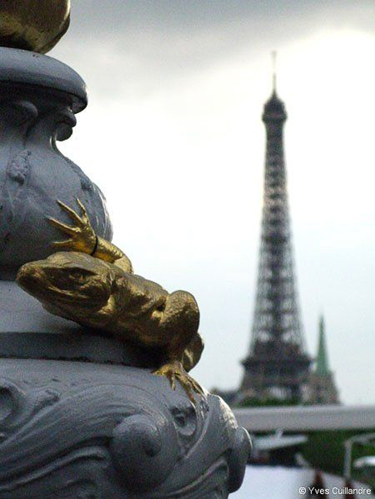 PHOTO©Y.Cuillandre-314