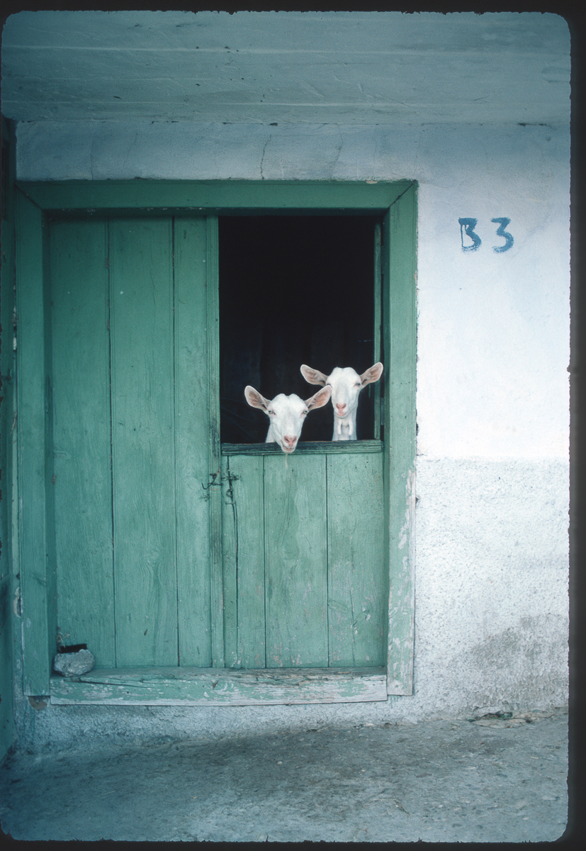 PHOTO©Y.Cuillandre-592
